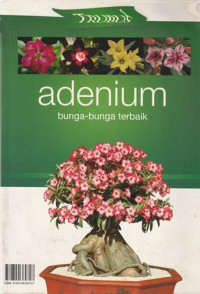Image of Adenium Bunga-Bunga Terbaik : TRUBUS